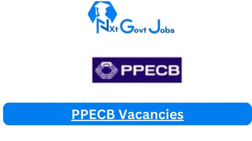[Post x1] PPECB Vacancies 2024 - Apply @ppecb.com for Junior Application Developer, Data capturer Job opportunities