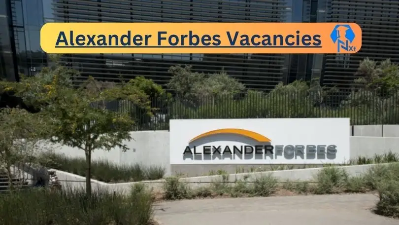 [Post x13] Alexander Forbes Vacancies 2024 - Apply @www.alexanderforbes.co.za for Team Leader, Senior Administrator Claims Job opportunities