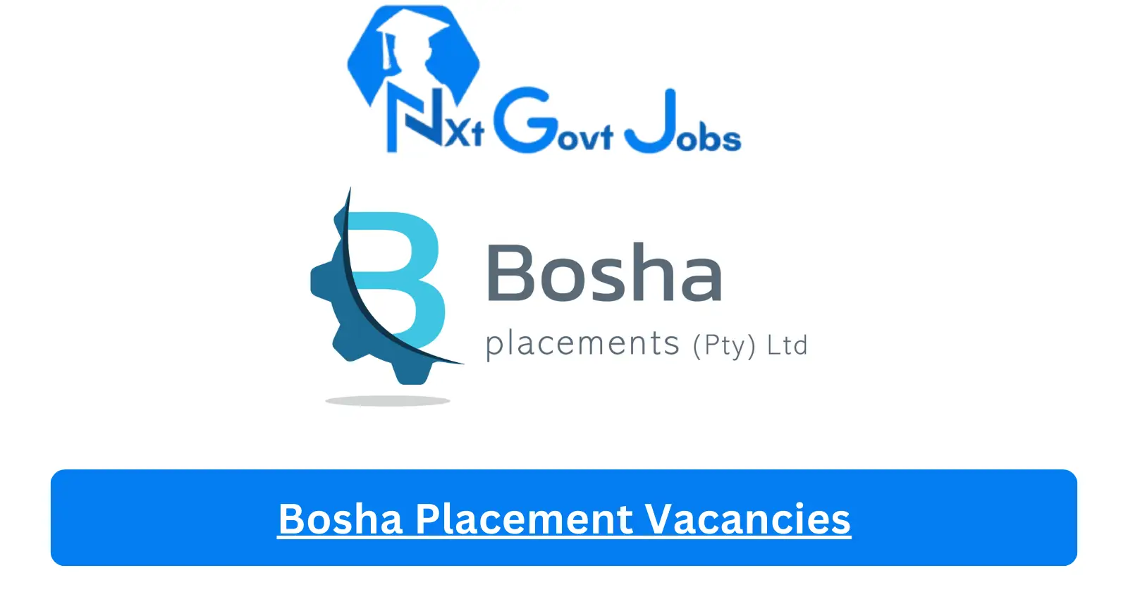 [Post x2] Bosha Placement Vacancies 2024 - Apply @www.bosha.co.za for and Finance and Admin Manager, Shaft Timberman Job opportunities