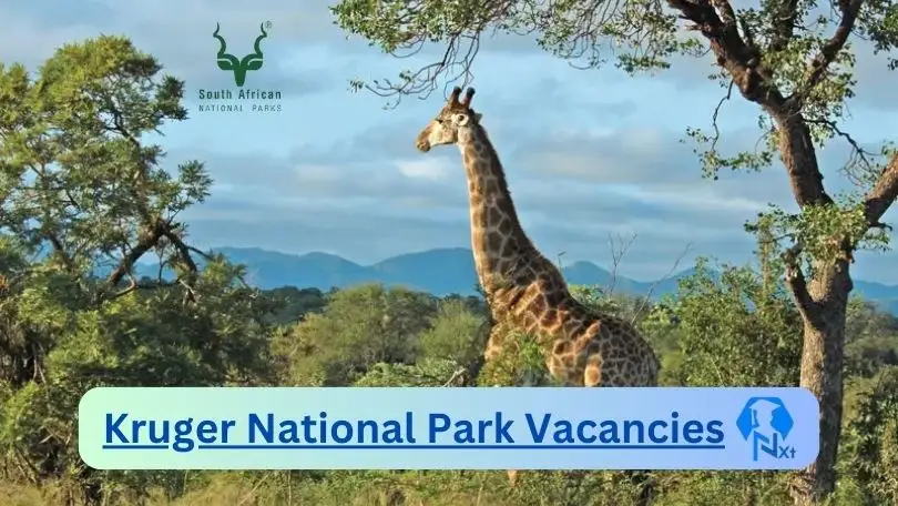 [Posts x1] Kruger National Park Vacancies 2024 – Apply @www.sanparks.org for Assistant, Labour Relations Practitioner Job Opportunities