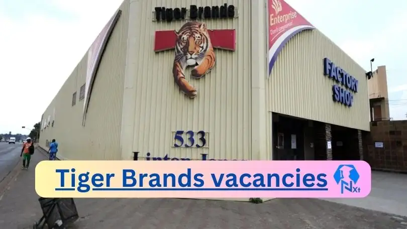 [Posts x11] Tiger Brands Vacancies 2024 – Apply @www.tigerbrands.com for Process Optimisation Engineer, Senior Brand Manager Job Opportunities