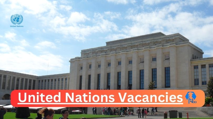 [Post x1] United Nations Vacancies 2024 – Apply @unjobs.org for Programme Assistant, Development Manager Job Opportunities